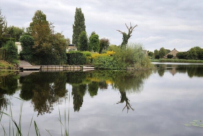 Een afwisselende serie foto’s van onze natuurfotograaf