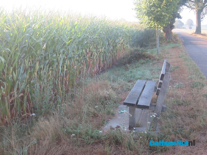  Een vroege wandeling rond Den Alerdinck - Foto: Wim