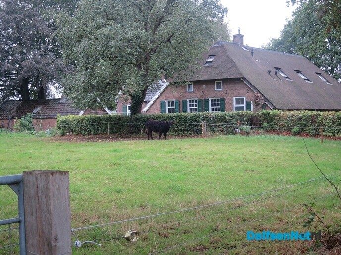 Vanmorgen een vroege wandeling, ondanks dat het al snel begin te miezeren - Foto: Wim