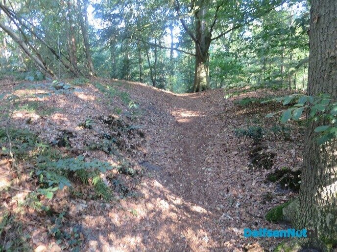Vandaag weer een lange wandeling via stuw Vilsteren - Foto: Wim