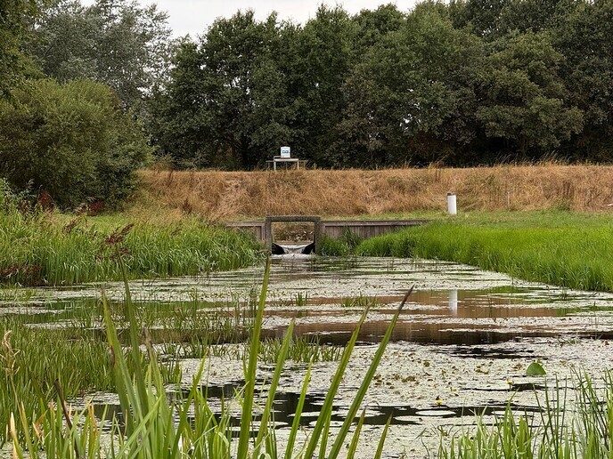 Over de droogte: De druk is een beetje van de ketel - Foto: Ingezonden foto