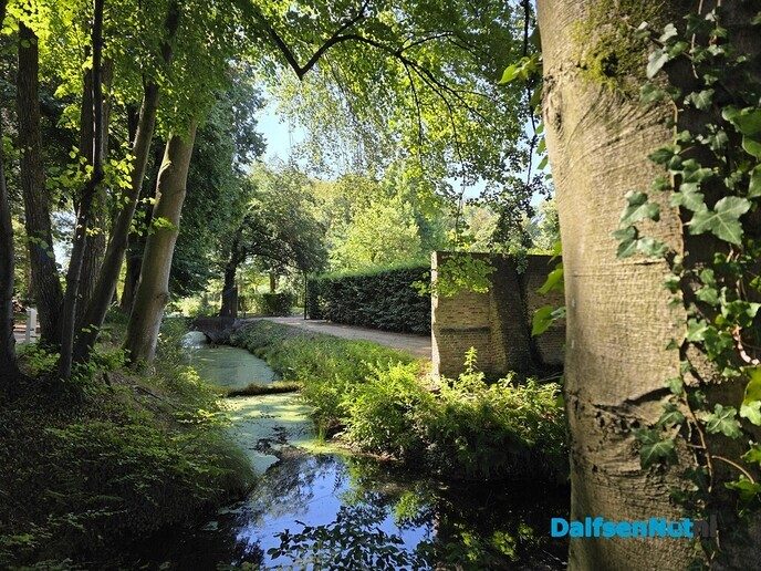 Heerlijk groen - Foto: Ingezonden foto