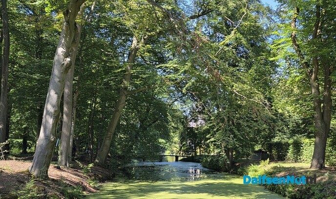 Heerlijk groen - Foto: Ingezonden foto