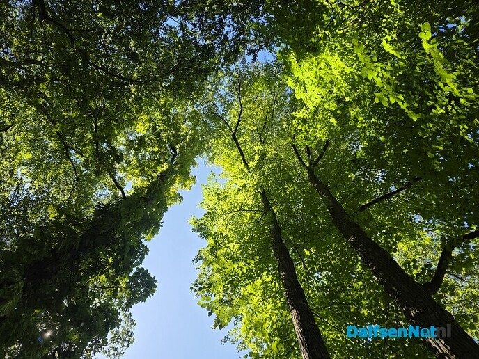 Heerlijk groen - Foto: Ingezonden foto