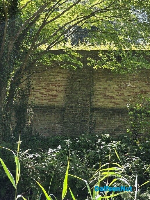 Heerlijk groen - Foto: Ingezonden foto