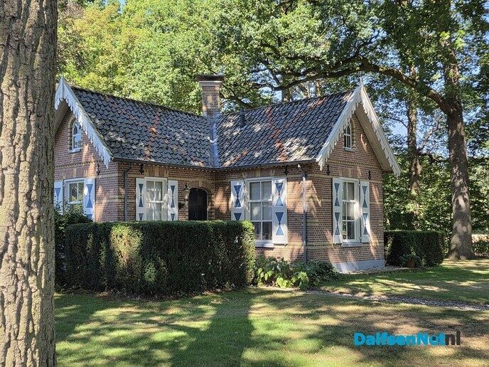 Heerlijk groen - Foto: Ingezonden foto