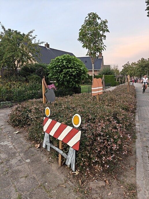 Foto’s van de vergeten Wolfkampstraat - Foto: Ingezonden foto