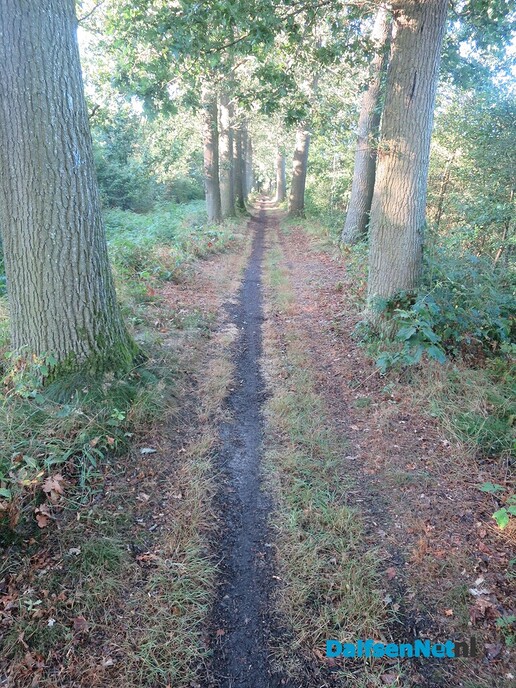  Een vroege wandeling rond Den Alerdinck - Foto: Wim