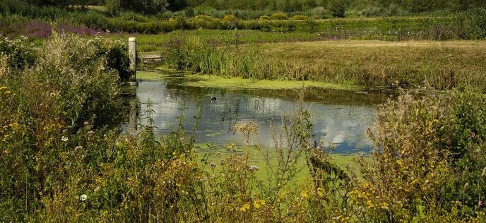 Regen in Overijssel, maar droogte vraagt nog steeds om maatregelen