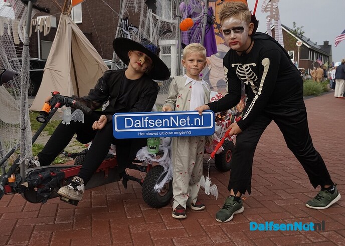 Bordje DalfsenNet bij optocht Oudleusen - Foto: Paul Scholten