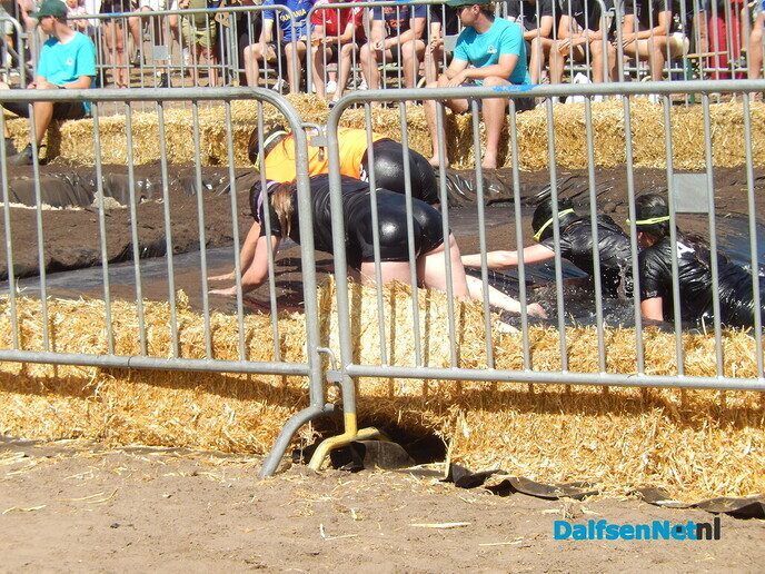 Zwientie tikken zorgt voor hilarische taferelen in Luttenberg - Foto: Willy