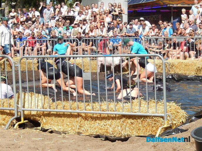 Zwientie tikken zorgt voor hilarische taferelen in Luttenberg - Foto: Willy