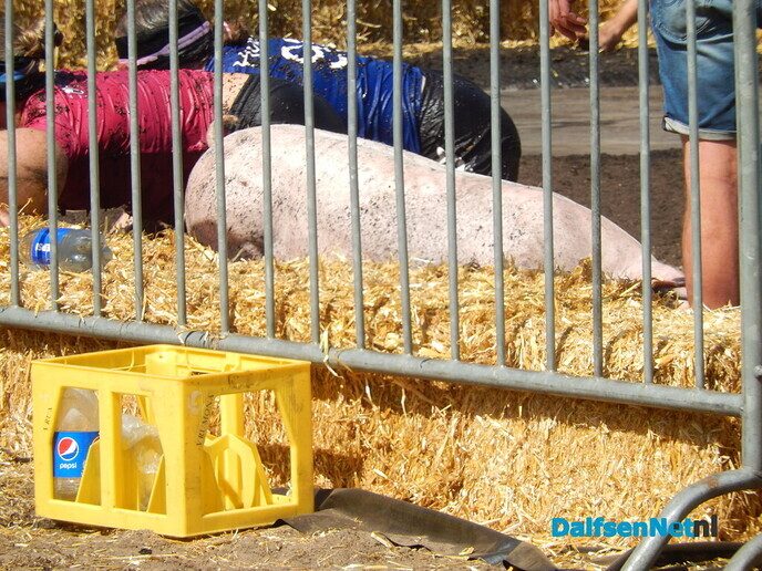 Zwientie tikken zorgt voor hilarische taferelen in Luttenberg - Foto: Willy