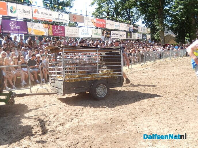 Zwientie tikken zorgt voor hilarische taferelen in Luttenberg - Foto: Willy