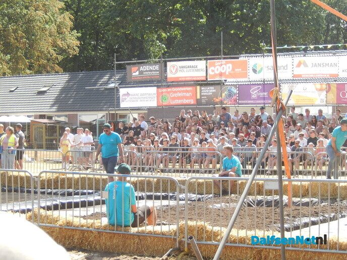 Zwientie tikken zorgt voor hilarische taferelen in Luttenberg - Foto: Willy