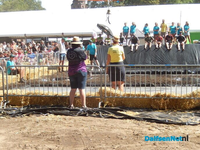 Zwientie tikken zorgt voor hilarische taferelen in Luttenberg - Foto: Willy