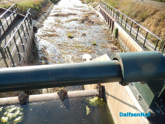 Geur van rottende waterplanten langs het Overijssels Kanaal - Foto: Willy