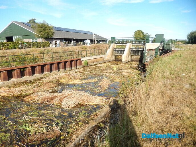 Geur van rottende waterplanten langs het Overijssels Kanaal - Foto: Willy