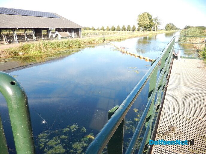 Geur van rottende waterplanten langs het Overijssels Kanaal - Foto: Willy