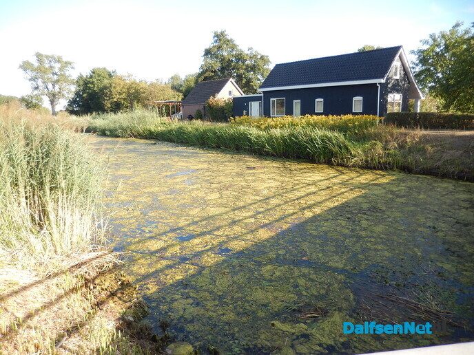 Geur van rottende waterplanten langs het Overijssels Kanaal - Foto: Willy