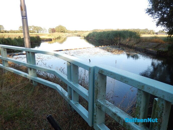 Geur van rottende waterplanten langs het Overijssels Kanaal - Foto: Willy