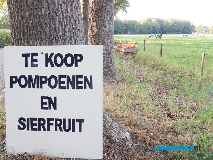 De buitenwinkels zijn weer open - Foto: Willy