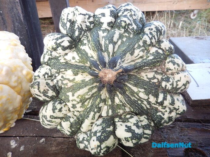 De buitenwinkels zijn weer open - Foto: Willy
