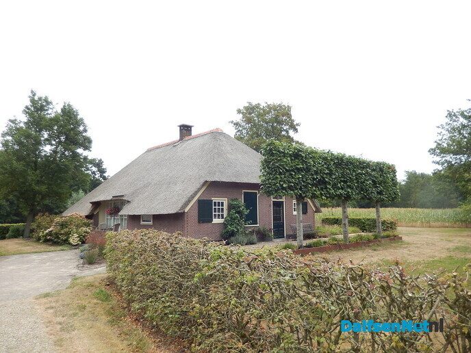 Binnenkort moeten de druiven eraan geloven - Foto: Willy