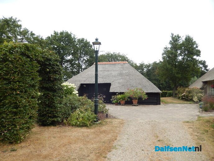 Binnenkort moeten de druiven eraan geloven - Foto: Willy