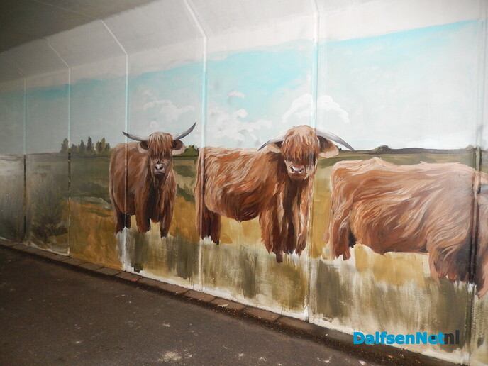Prachtige muurschildering in de fietstunnel van Ankum - Foto: Willy