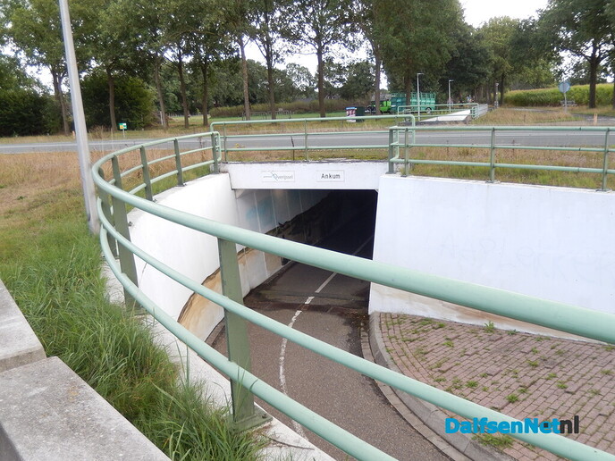 Prachtige muurschildering in de fietstunnel van Ankum - Foto: Willy