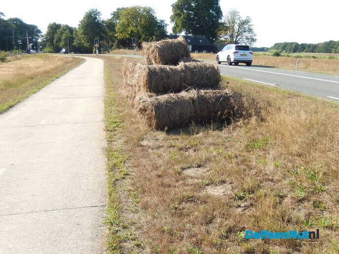 Mysterie (opgelost) rond kleine balen langs de Poppenallee - Foto: Willy