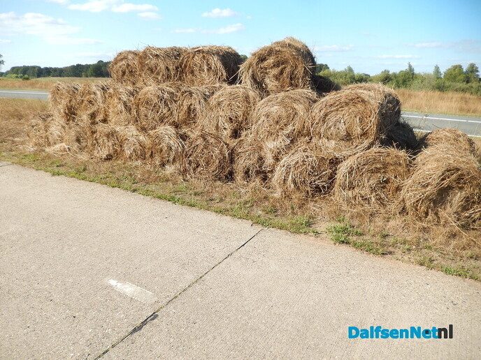 Mysterie (opgelost) rond kleine balen langs de Poppenallee - Foto: Willy