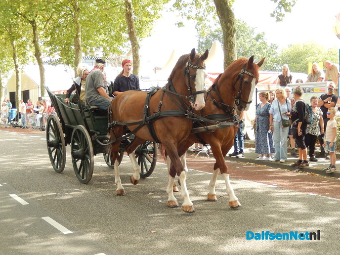 Prachtige aftrap van de Stöppelhaene: prachtige corso - Foto: Willy