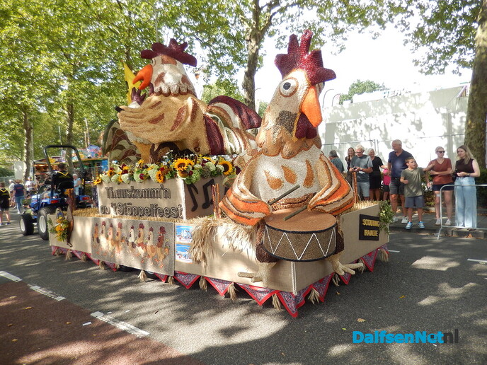 Prachtige aftrap van de Stöppelhaene: prachtige corso - Foto: Willy