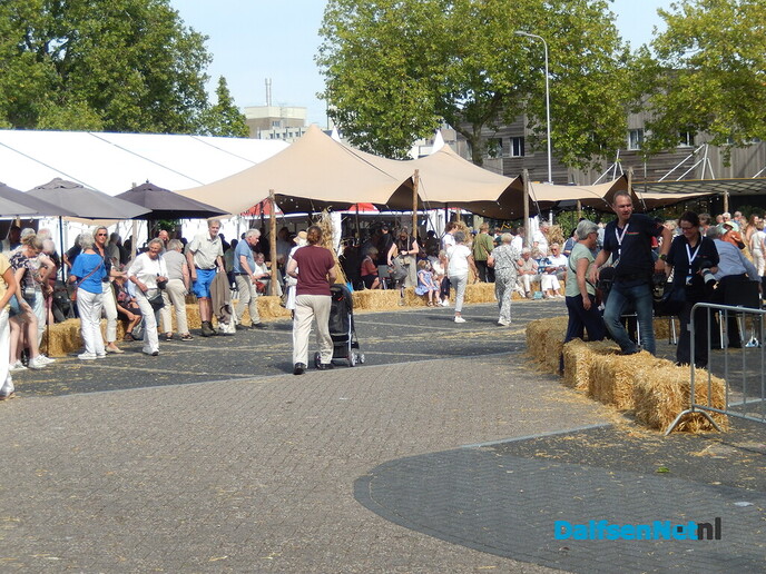 Prachtige aftrap van de Stöppelhaene: prachtige corso - Foto: Willy