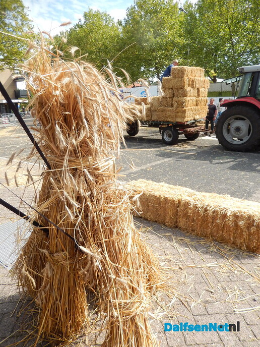 Prachtige aftrap van de Stöppelhaene: prachtige corso - Foto: Willy