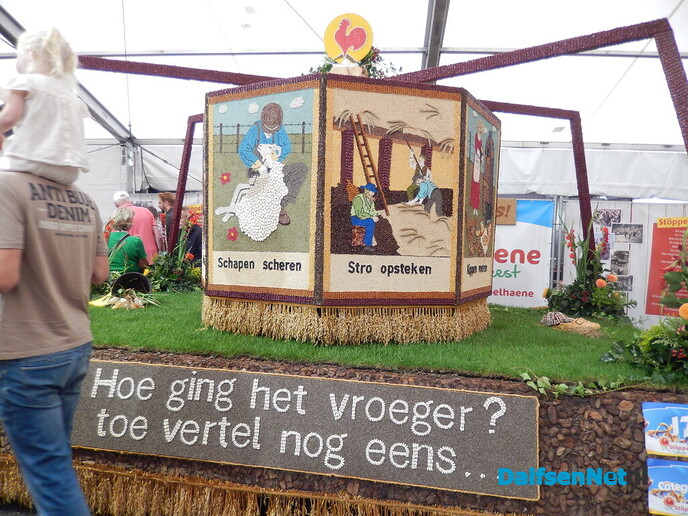 Raalter Oogstfeest barst van de gezelligheid: “Je krijgt er nooit genoeg van” - Foto: Willy