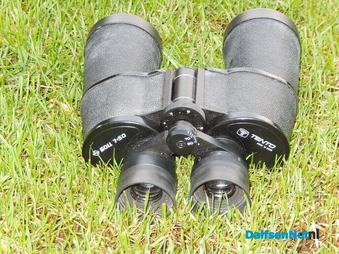 Waarom zie je plotseling geen vogels meer - Foto: Willy
