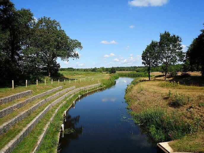 Schitterende natuur in Arriën en Junne (vandaag deel 1) - Foto: Femmie Smink