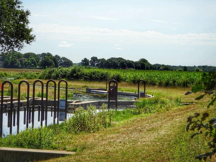Schitterende natuur in Arriën en Junne (vandaag deel 1) - Foto: Femmie Smink
