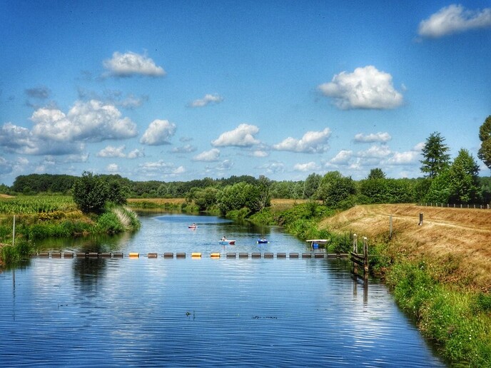 Schitterende natuur in Arriën en Junne (vandaag deel 1) - Foto: Femmie Smink