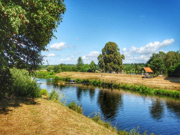 Schitterende natuur in Arriën en Junne (vandaag deel 1) - Foto: Femmie Smink