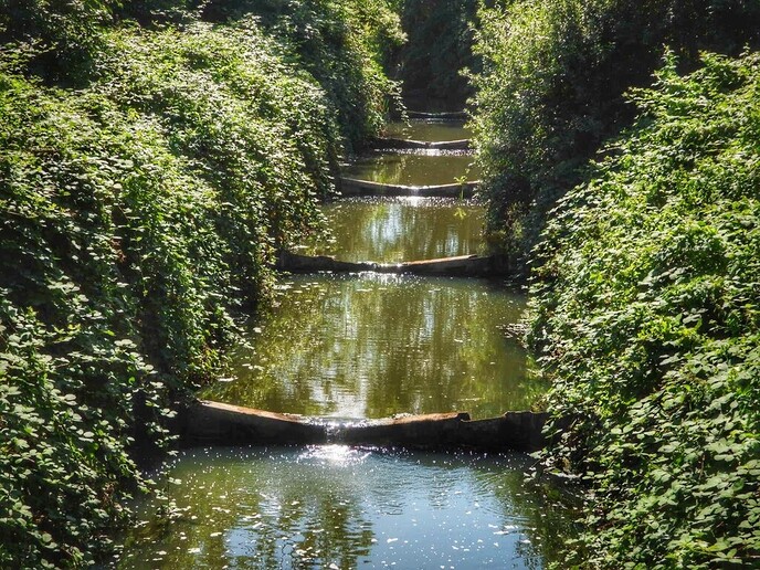 Schitterende natuur in Arriën en Junne (vandaag deel 1) - Foto: Femmie Smink