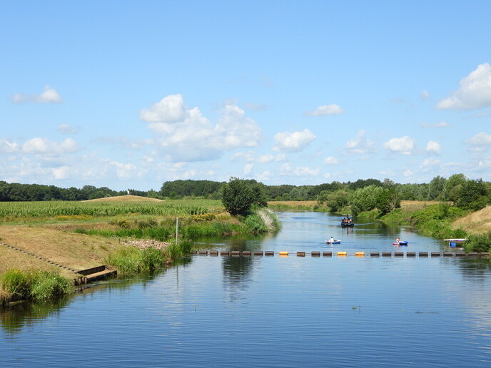 Schitterende natuur in Arriën en Junne (vandaag deel 1) - Foto: Femmie Smink