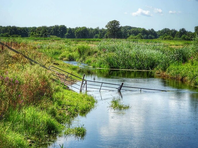 Schitterende natuur in Arriën en Junne (vandaag deel 1) - Foto: Femmie Smink