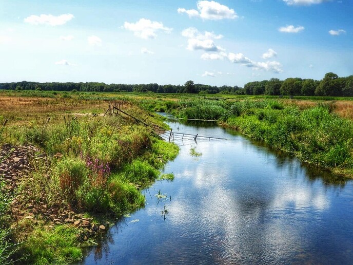 Schitterende natuur in Arriën en Junne (vandaag deel 1) - Foto: Femmie Smink