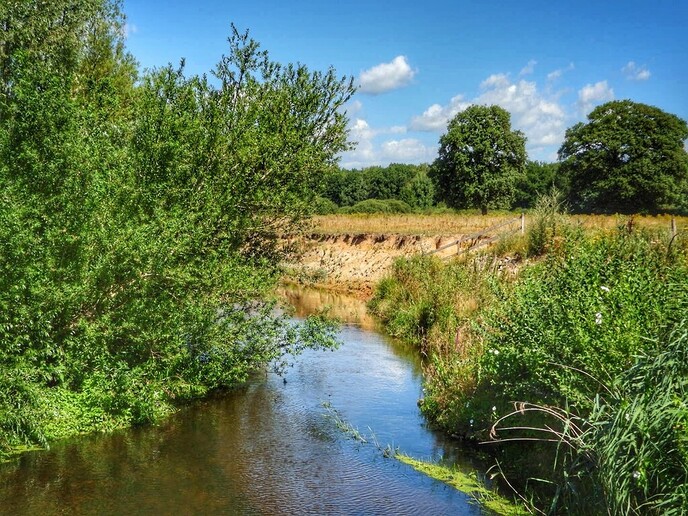 Schitterende natuur in Arriën en Junne (vandaag deel 1) - Foto: Femmie Smink