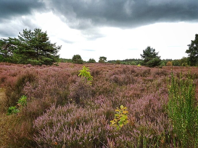 Regen: wat is dat ook alweer? - Foto: Femmie Smink