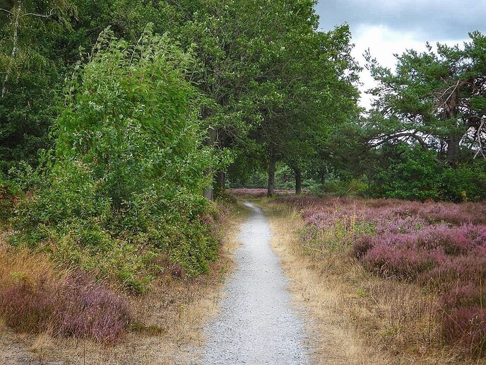 Regen: wat is dat ook alweer? - Foto: Femmie Smink